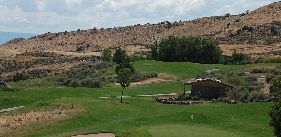 View of golf course