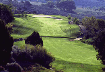 bird's eye view of golf course green