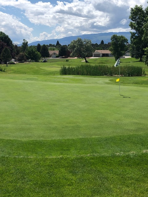 Hole 7